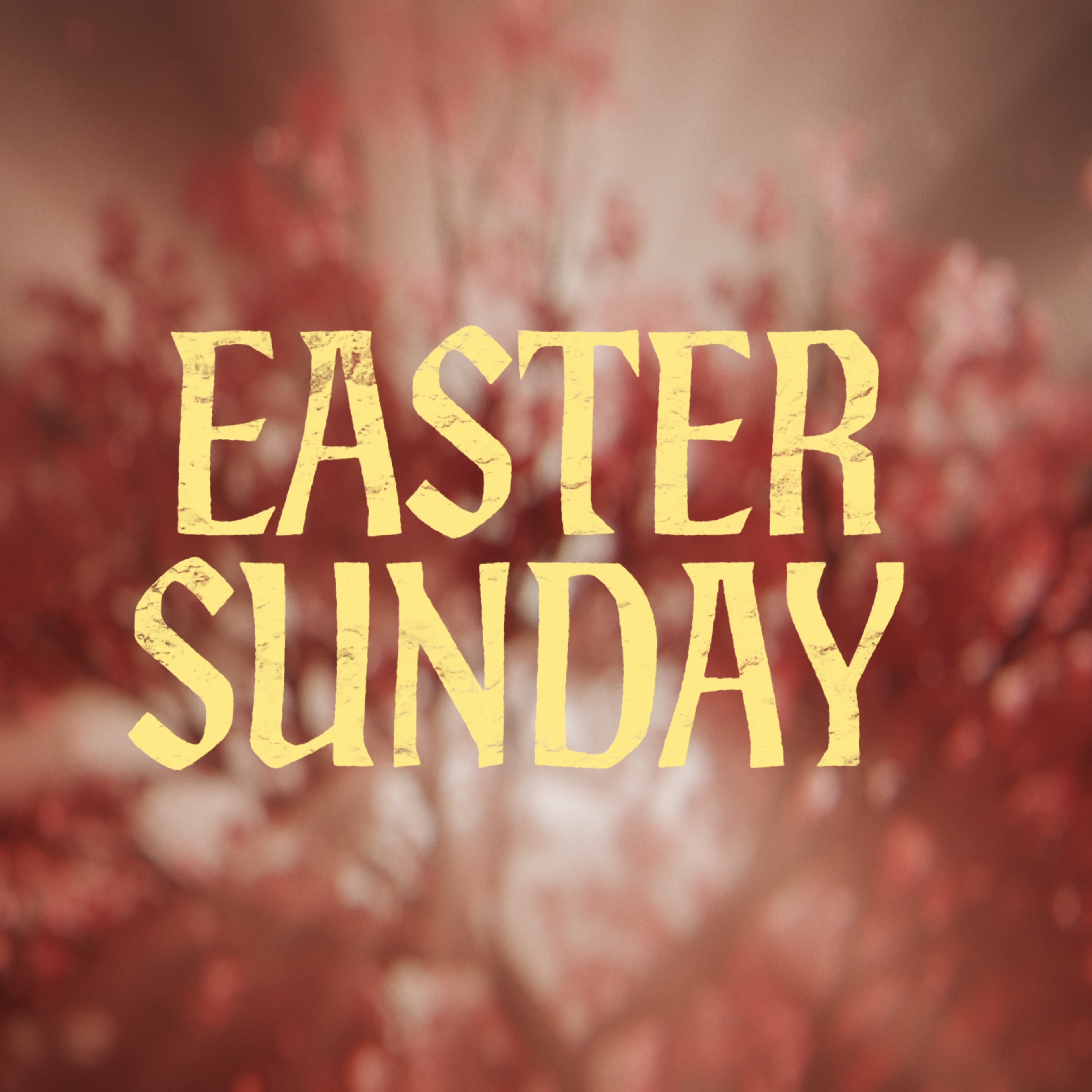 Easter Sunday 4Every1 Service
